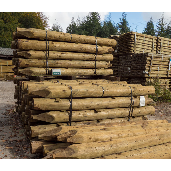 2.40m | Round Timber 15 Year Service Life Treated | 175-200mm